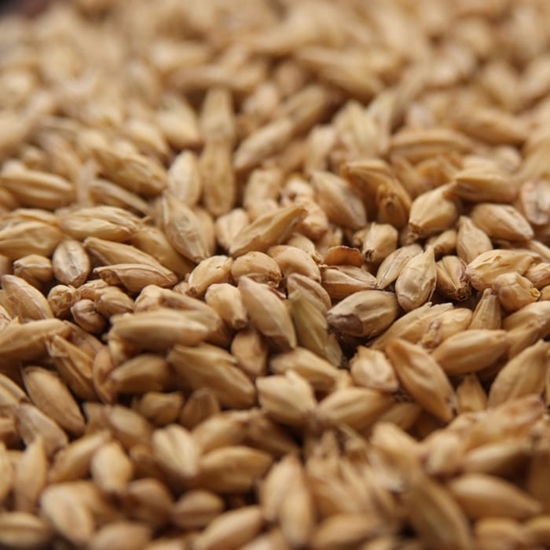Rahr GN Zero High Enzyme Distillers Malt