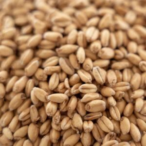 Picture of Rahr Extra Pale White Wheat